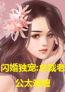 闪婚独宠,总裁老公太难缠