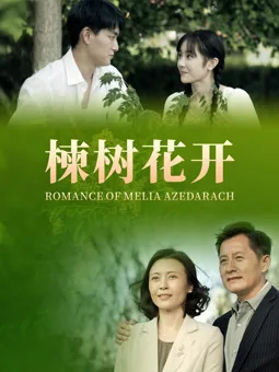 楝树花开