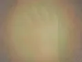 莉莉和青蛙和弟弟