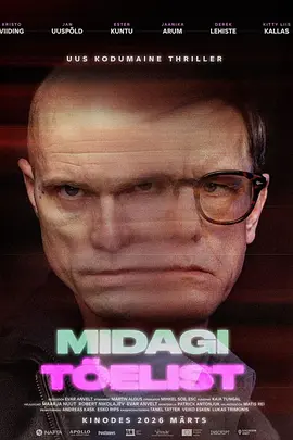 真实之物 Midagi tõelist