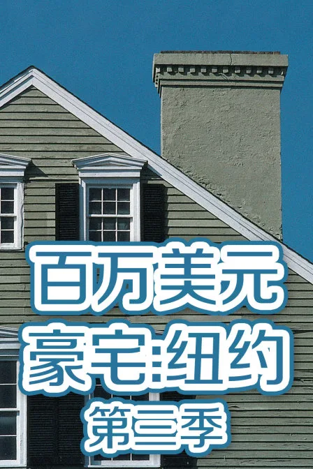百万美元豪宅：纽约第三季