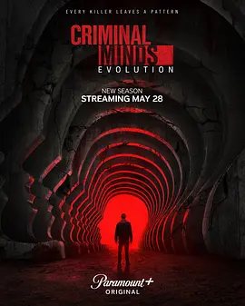 犯罪心理:演变第十九季 Criminal Minds: Evolution Season 19