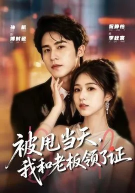 被甩当天，我和老板领了证