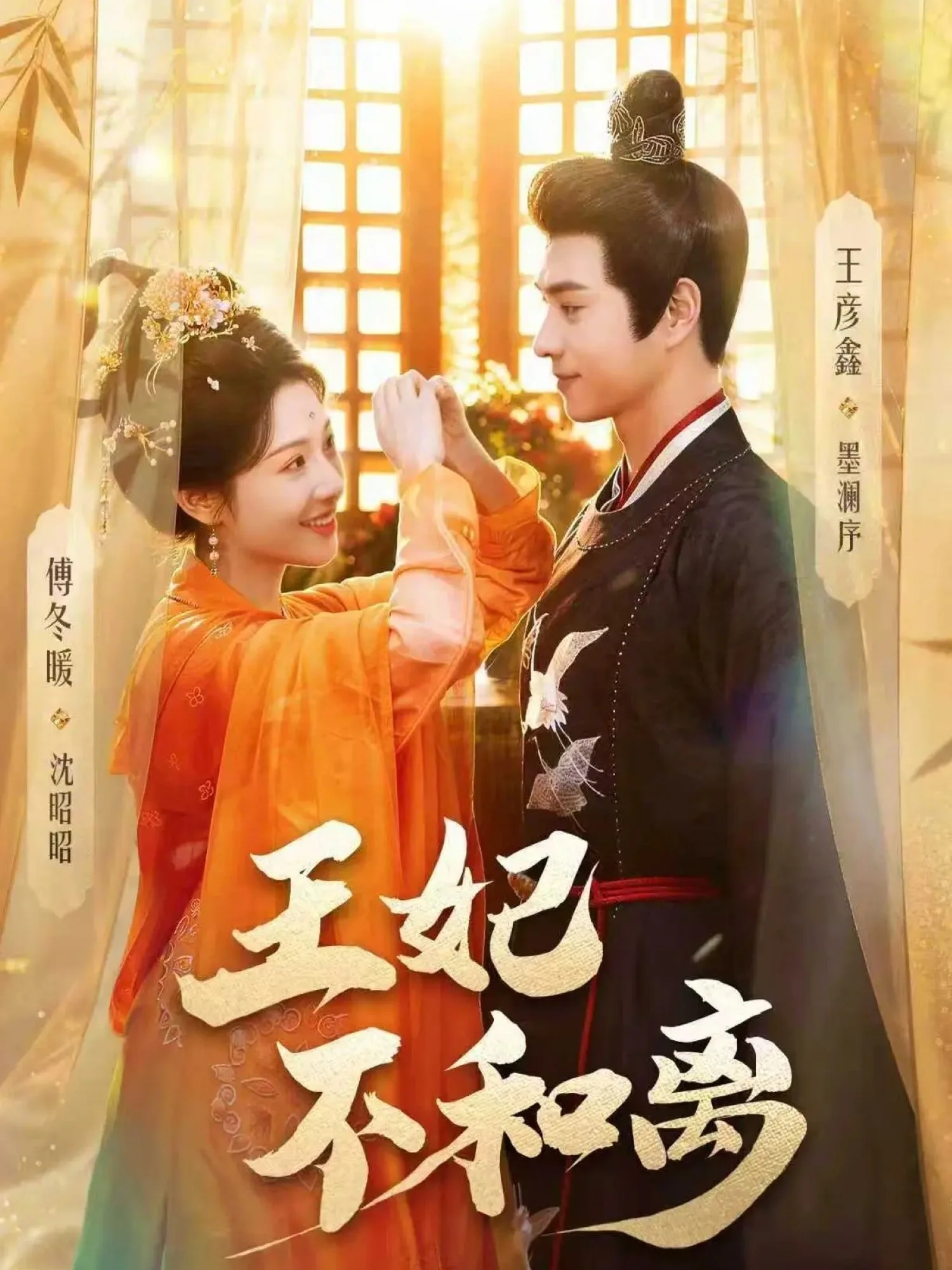 王妃不和离